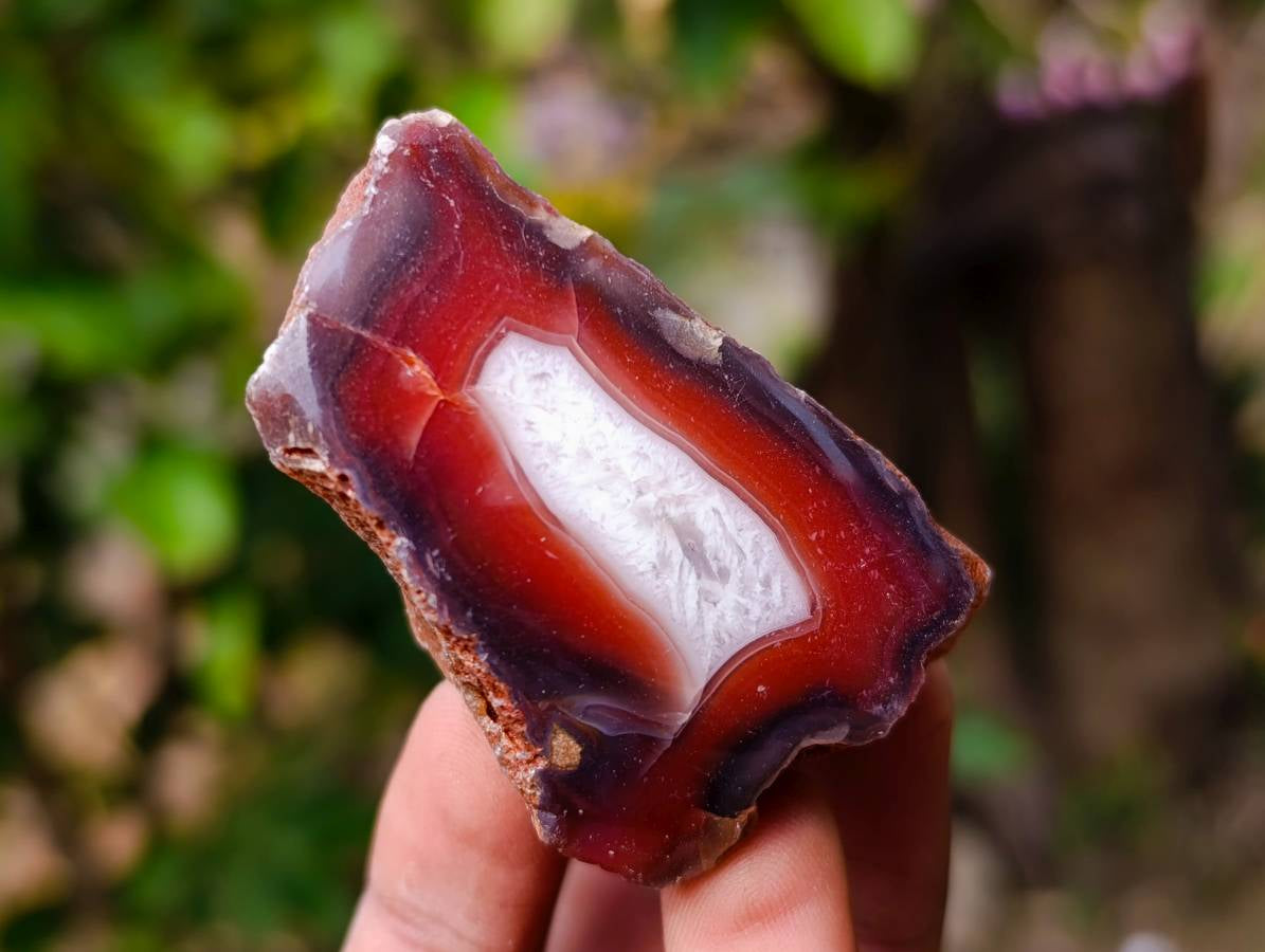 Polished One Sided Red Sashe River Agate Nodules x 35 from Sashe River, Zimbabwe - Toprock Gemstones and Minerals 