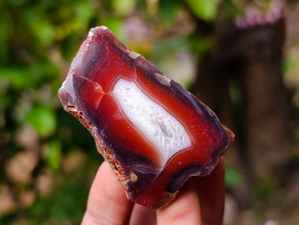 Polished One Sided Red Sashe River Agate Nodules x 35 from Sashe River, Zimbabwe - Toprock Gemstones and Minerals 
