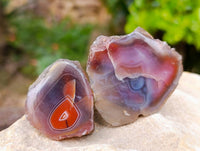 Polished One Sided Red Sashe River Agate Nodules x 35 from Sashe River, Zimbabwe - Toprock Gemstones and Minerals 