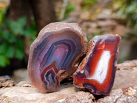 Polished One Sided Red Sashe River Agate Nodules x 35 from Sashe River, Zimbabwe - Toprock Gemstones and Minerals 