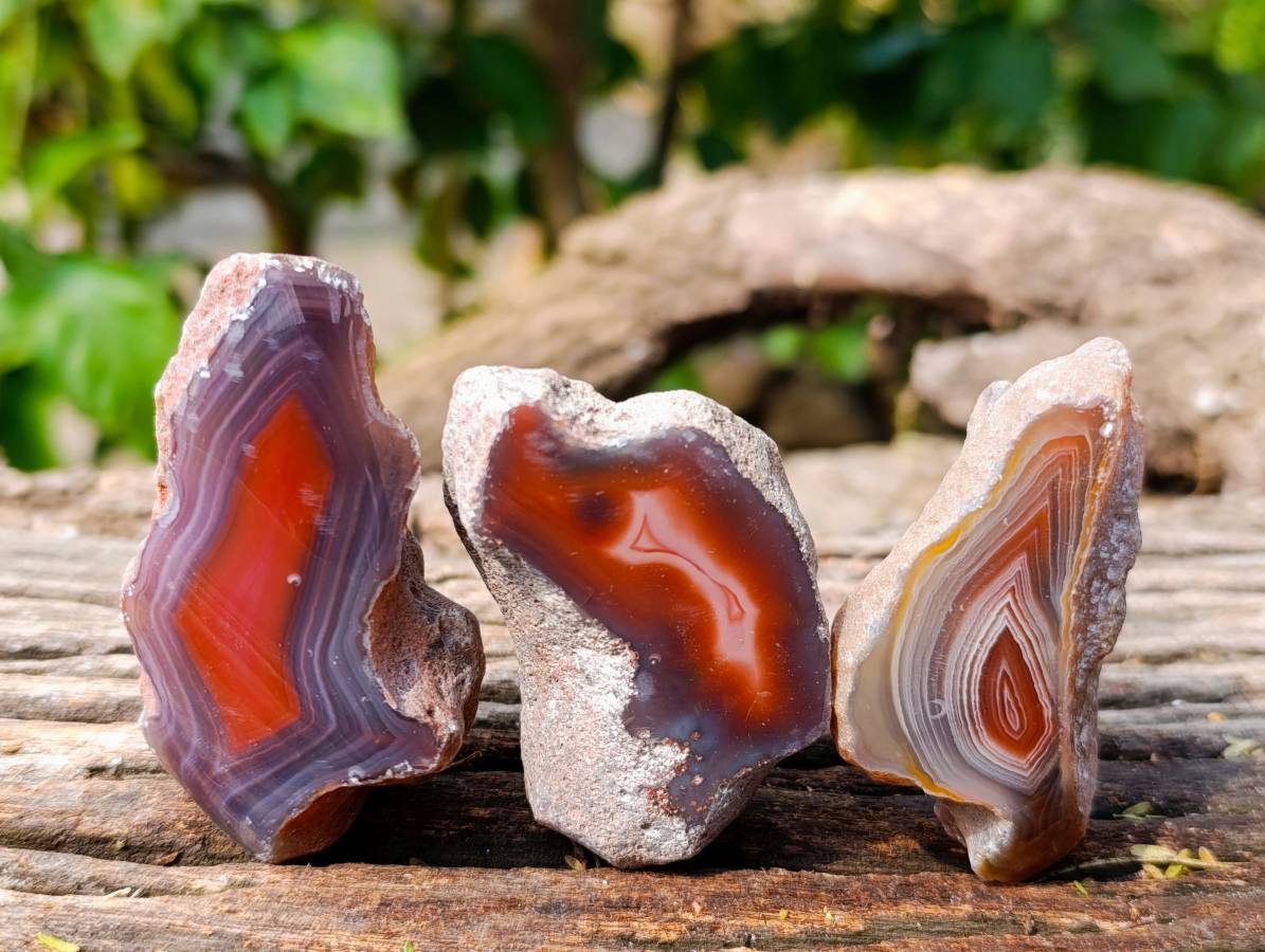 Polished One Sided Red Sashe River Agate Nodules x 35 from Sashe River, Zimbabwe - Toprock Gemstones and Minerals 