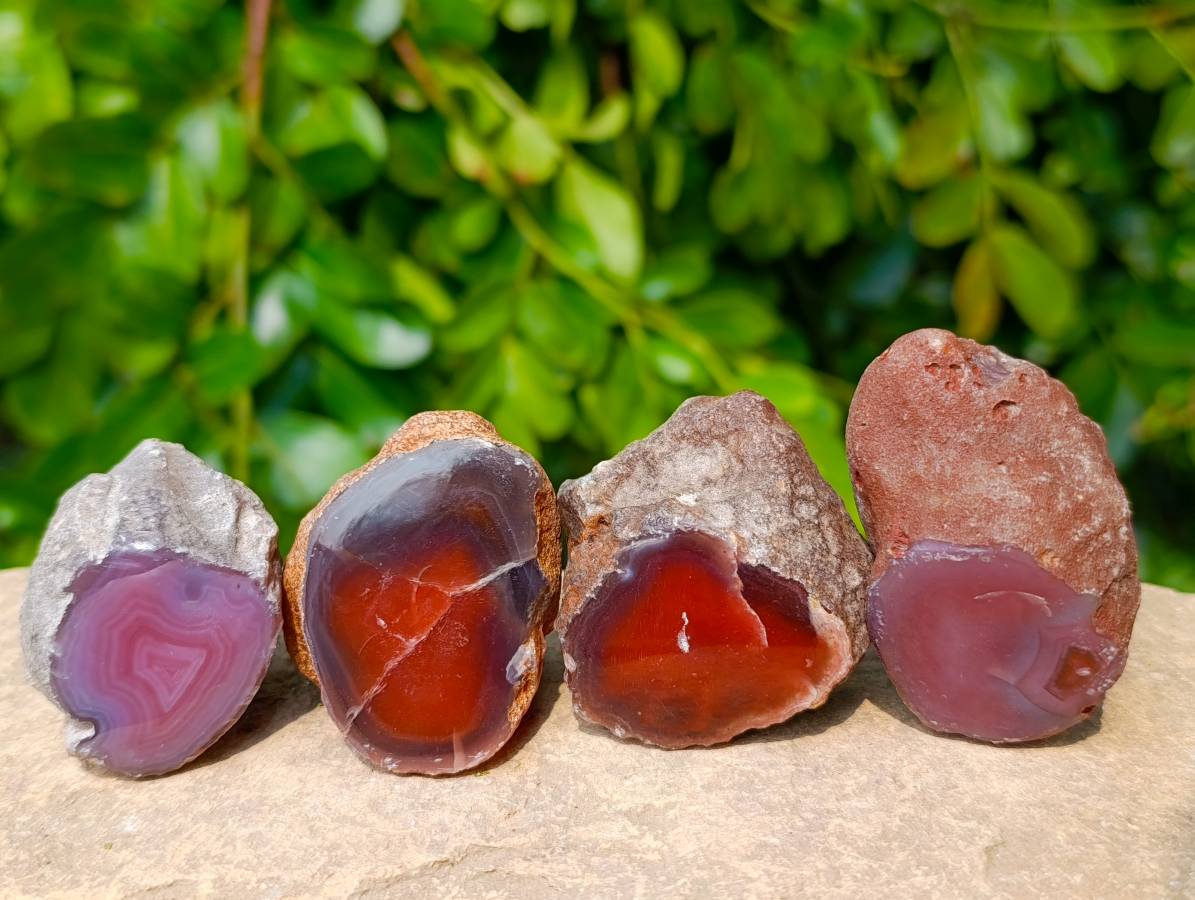 Polished One Sided Red Sashe River Agate Nodules x 35 from Sashe River, Zimbabwe - Toprock Gemstones and Minerals 