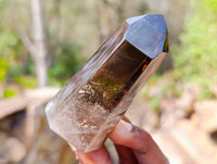 Polished Smokey Window Quartz Crystals x 6 From Madagascar - Toprock Gemstones and Minerals 