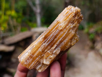 Natural Honey Aragonite Specimens x 12 From Namibia - Toprock Gemstones and Minerals 