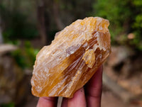Natural Honey Aragonite Specimens x 12 From Namibia - Toprock Gemstones and Minerals 