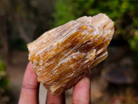 Natural Honey Aragonite Specimens x 12 From Namibia - Toprock Gemstones and Minerals 