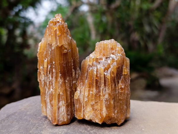 Natural Honey Aragonite Specimens x 12 From Namibia - Toprock Gemstones and Minerals 
