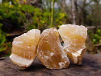 Natural Honey Aragonite Specimens x 12 From Namibia - Toprock Gemstones and Minerals 