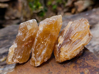 Natural Honey Aragonite Specimens x 12 From Namibia - Toprock Gemstones and Minerals 