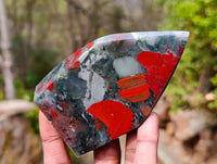 Polished Bloodstone Points x 3 From Swaziland