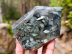 Polished Bloodstone Points x 3 From Swaziland - Toprock Gemstones and Minerals 