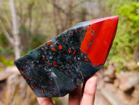 Polished Bloodstone Points x 3 From Swaziland