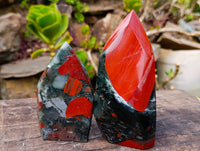 Polished Bloodstone Points x 3 From Swaziland
