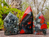 Polished Bloodstone Points x 3 From Swaziland