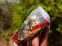 Polished Bloodstone Points x 3 From Swaziland