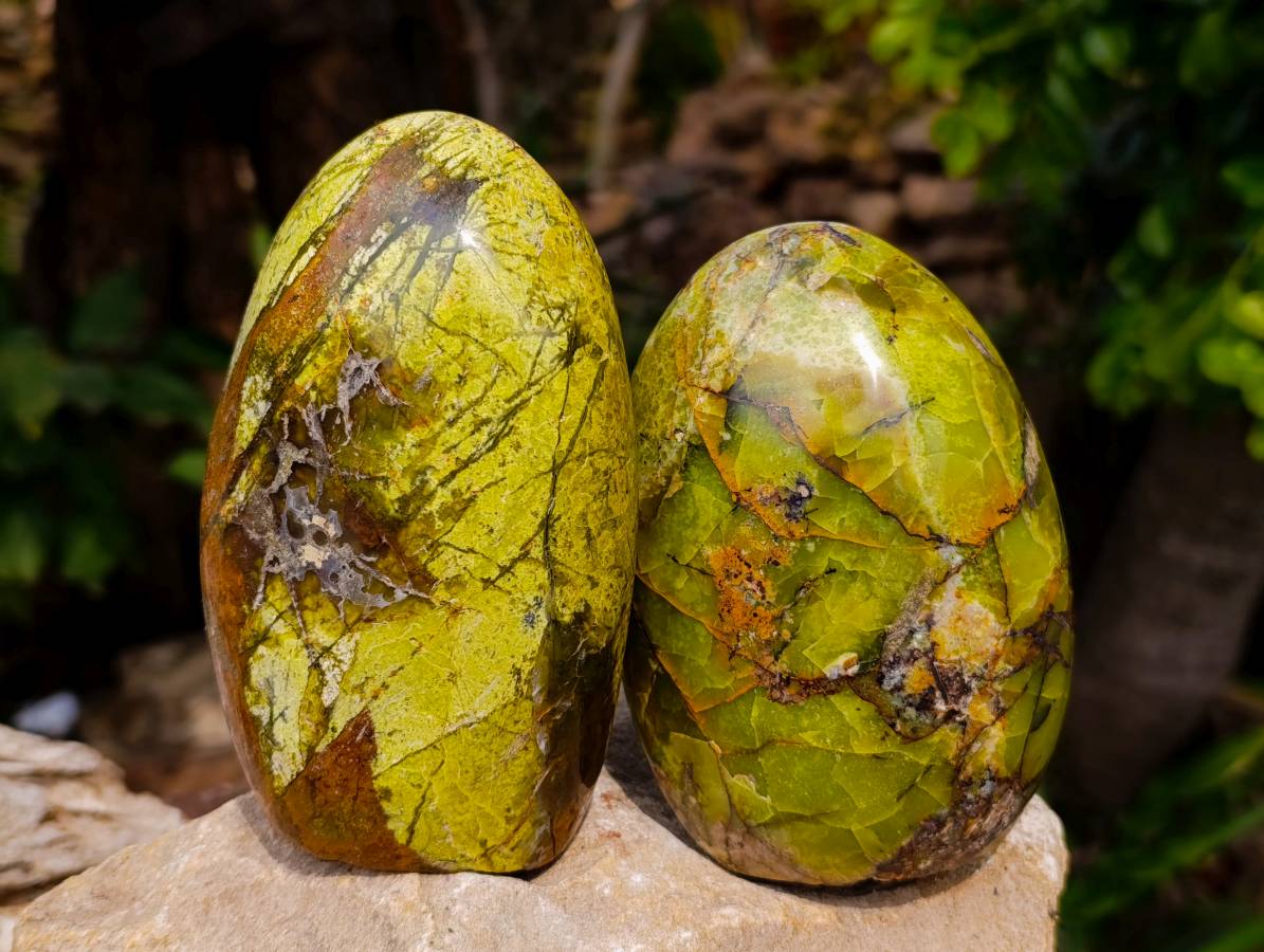 Polished Green Opal Standing Free Forms x 2 From Madagascar - Toprock Gemstones and Minerals 