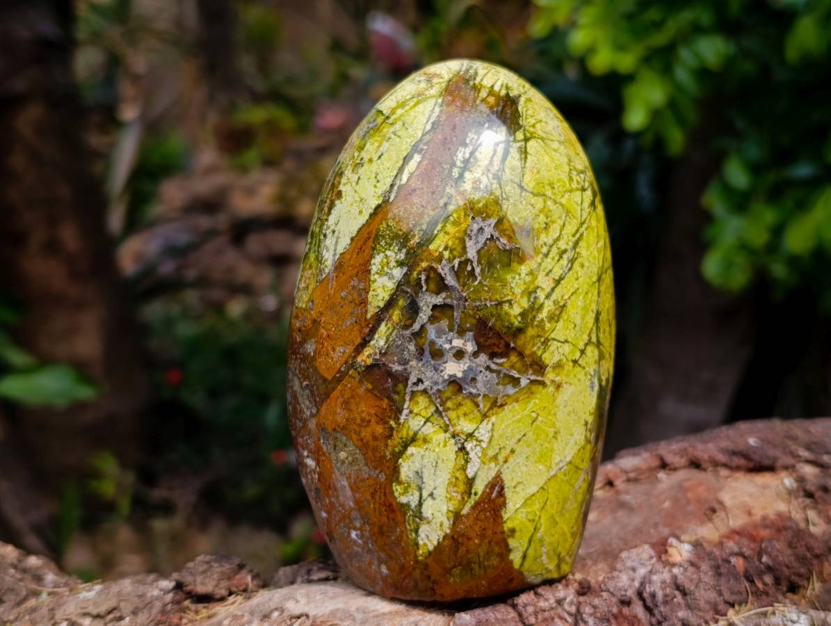 Polished Green Opal Standing Free Forms x 2 From Madagascar - Toprock Gemstones and Minerals 