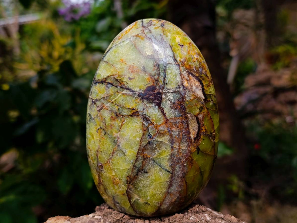 Polished Green Opal Standing Free Forms x 2 From Madagascar - Toprock Gemstones and Minerals 