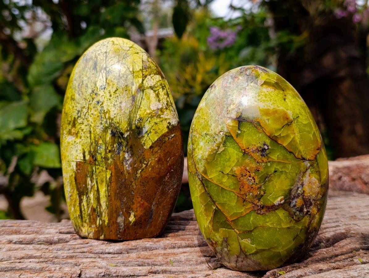 Polished Green Opal Standing Free Forms x 2 From Madagascar - Toprock Gemstones and Minerals 