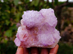 Natural Amethyst Spirit Quartz Clusters x 4 From Boekenhouthoek, South Africa - Toprock Gemstones and Minerals 
