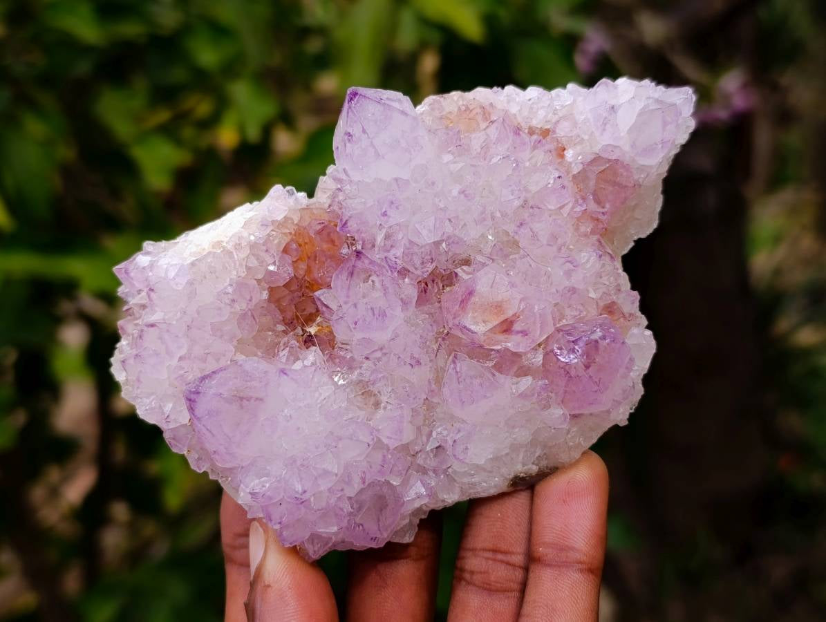 Natural Amethyst Spirit Quartz Clusters x 4 From Boekenhouthoek, South Africa - Toprock Gemstones and Minerals 