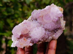 Natural Amethyst Spirit Quartz Clusters x 4 From Boekenhouthoek, South Africa - Toprock Gemstones and Minerals 
