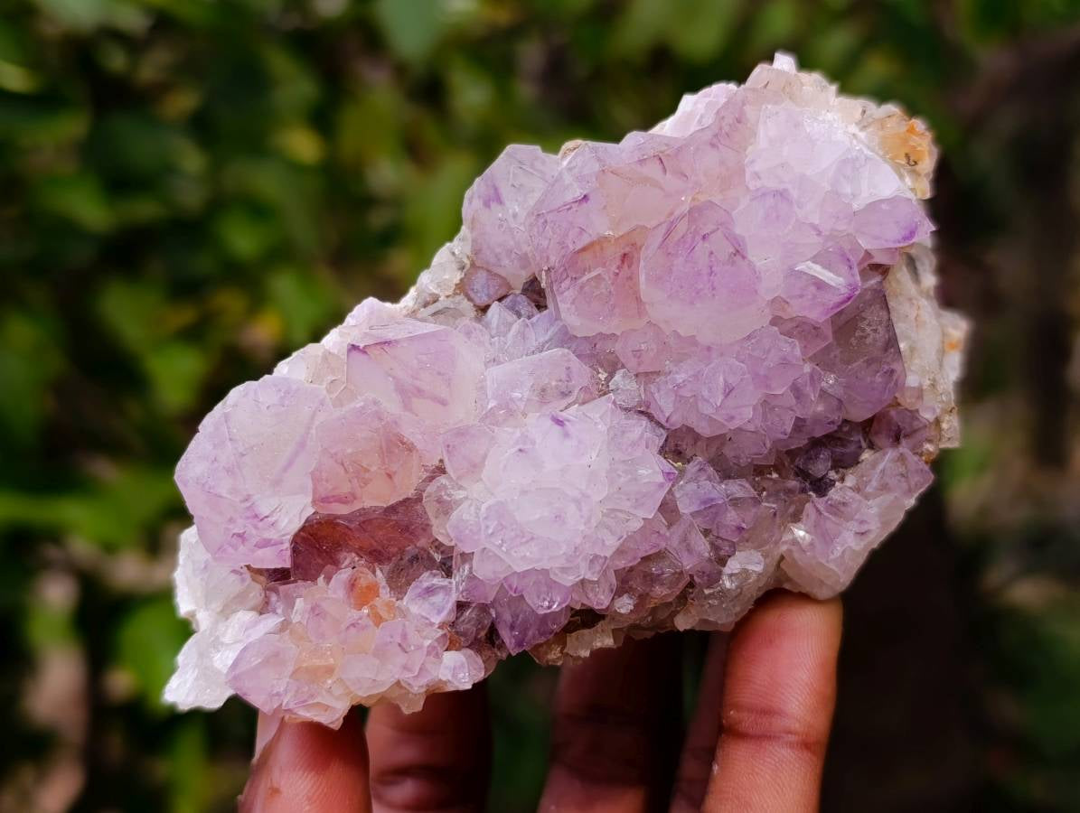 Natural Amethyst Spirit Quartz Clusters x 4 From Boekenhouthoek, South Africa - Toprock Gemstones and Minerals 