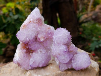 Natural Amethyst Spirit Quartz Clusters x 4 From Boekenhouthoek, South Africa - Toprock Gemstones and Minerals 