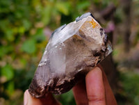 Polished Mixed Inclusion Quartz Crystals x 6 From Madagascar - Toprock Gemstones and Minerals 