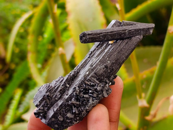 Natural Schorl Black Tourmaline with Orthoclase x 6 From Erongo, Namibia - Toprock Gemstones and Minerals 