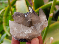 Natural Schorl Black Tourmaline with Orthoclase x 6 From Erongo, Namibia - Toprock Gemstones and Minerals 