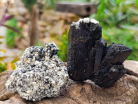 Natural Schorl Black Tourmaline with Orthoclase x 6 From Erongo, Namibia - Toprock Gemstones and Minerals 