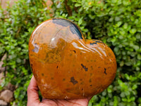 Polished Ocean Jasper Heart x 1 From Madagascar