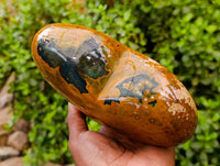 Polished Ocean Jasper Heart x 1 From Madagascar
