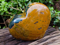 Polished Ocean Jasper Heart x 1 From Madagascar