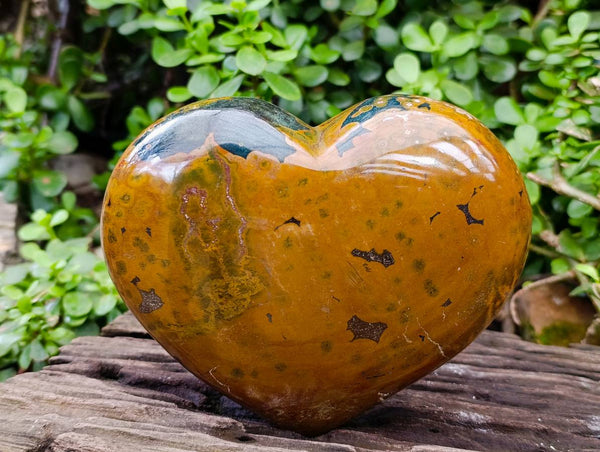 Polished Ocean Jasper Heart x 1 From Madagascar