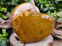 Polished Ocean Jasper Heart x 1 From Madagascar