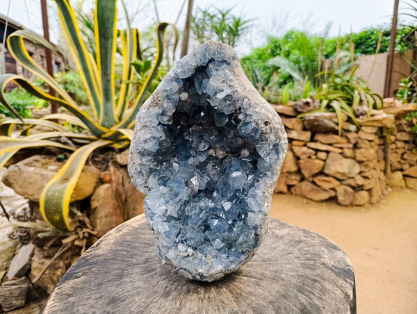 Natural Celestite Geode Specimen x 1 From Sakoany, Madagascar - Toprock Gemstones and Minerals 