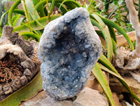 Natural Celestite Geode Specimen x 1 From Sakoany, Madagascar - Toprock Gemstones and Minerals 