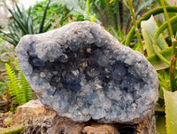 Natural Celestite Geode Specimen x 1 From Sakoany, Madagascar - Toprock Gemstones and Minerals 