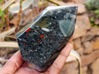 Polished Bloodstone Points x 2 From Swaziland - Toprock Gemstones and Minerals 
