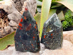 Polished Bloodstone Points x 2 From Swaziland - Toprock Gemstones and Minerals 
