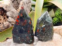 Polished Bloodstone Points x 2 From Swaziland
