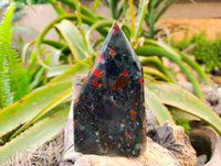 Polished Bloodstone Points x 2 From Swaziland