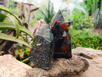 Polished Bloodstone Points x 2 From Swaziland