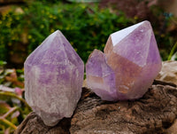 Natural Jacaranda Amethyst Quartz Crystals x 6 From Mumbwa, Zambia - Toprock Gemstones and Minerals 