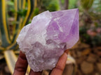 Natural Jacaranda Amethyst Quartz Crystals x 6 From Mumbwa, Zambia - Toprock Gemstones and Minerals 