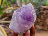 Natural Jacaranda Amethyst Quartz Crystals x 6 From Mumbwa, Zambia - Toprock Gemstones and Minerals 