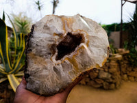 Polished Geode Specimen x 1 From Zululand, South Africa - Toprock Gemstones and Minerals 