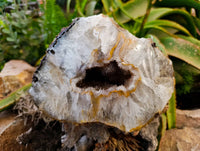 Polished Geode Specimen x 1 From Zululand, South Africa - Toprock Gemstones and Minerals 